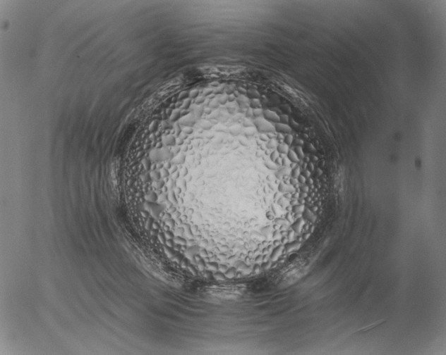 X0000056020373200509021802