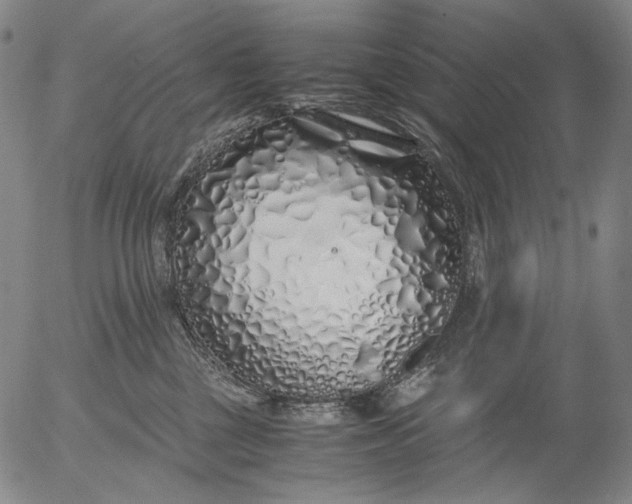 X0000056020377200509021802