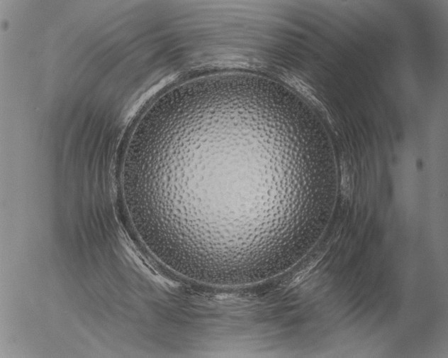 X0000056020390200509021801