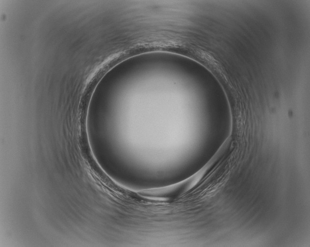 X0000056020395200509021801