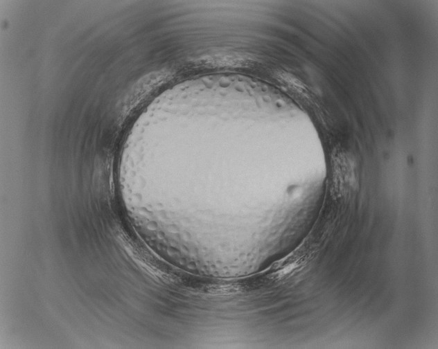 X0000056020398200509021801