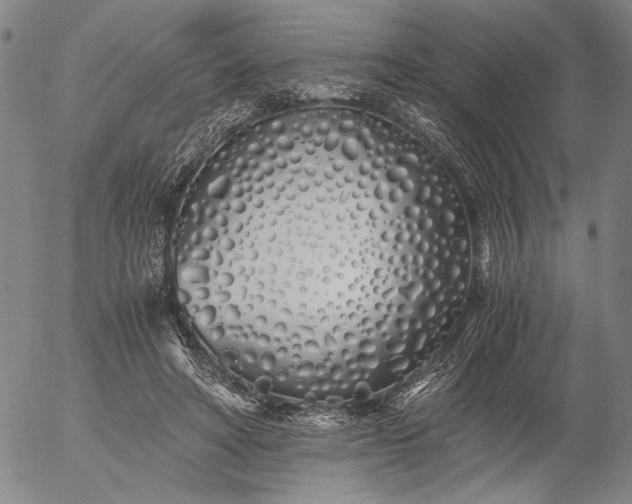X0000056020402200509021801
