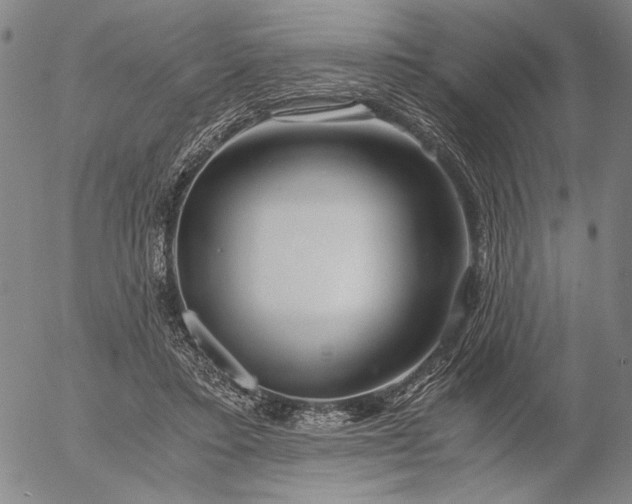 X0000056020403200509021801