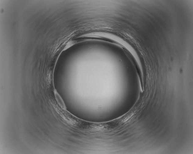 X0000056020405200509021801