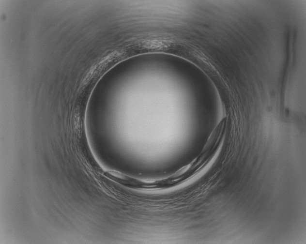 X0000056020407200509021801
