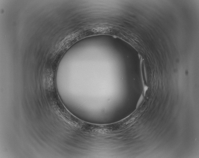 X0000056020408200509021801