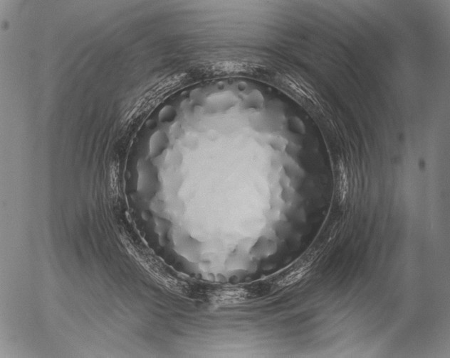 X0000056020410200509021801