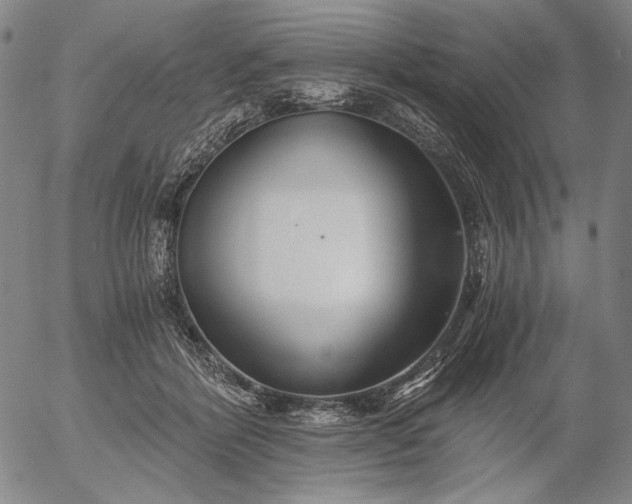 X0000056020412200509021801