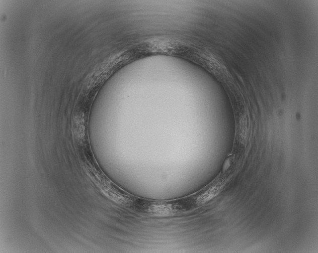 X0000056020413200509021801