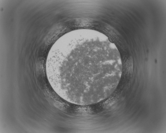 X0000056020415200509021801