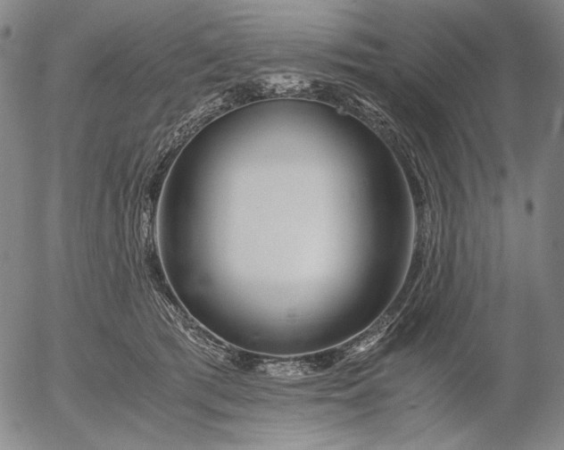 X0000056020417200509021801