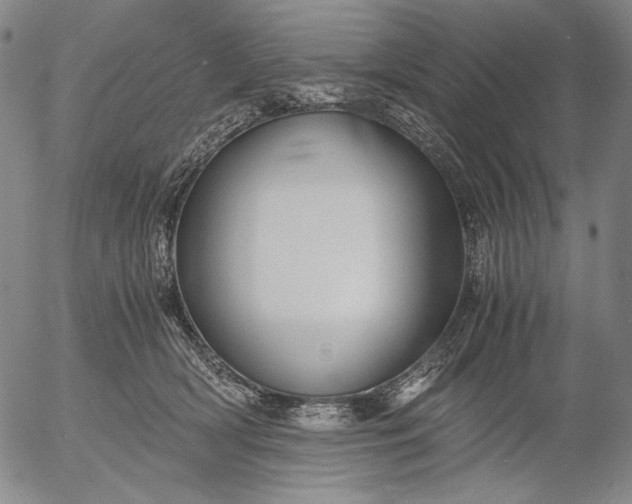 X0000056020418200509021801