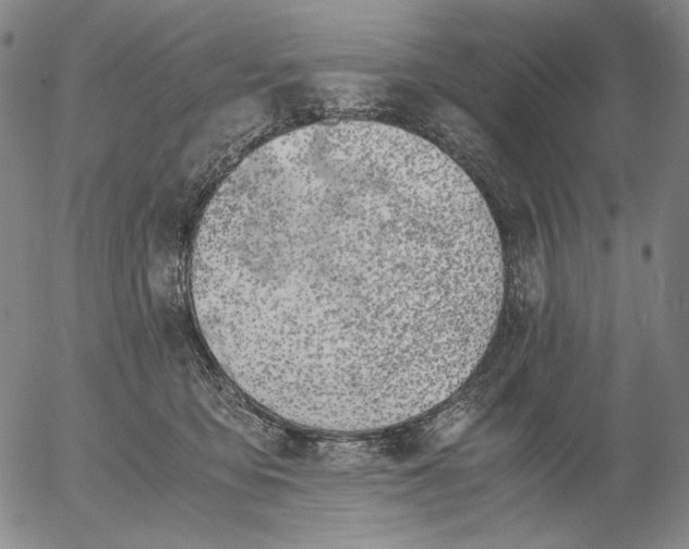 X0000056020419200509021801