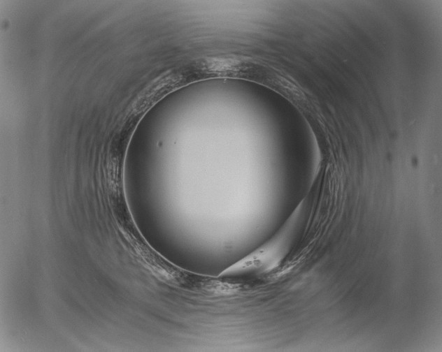 X0000056020421200509021801
