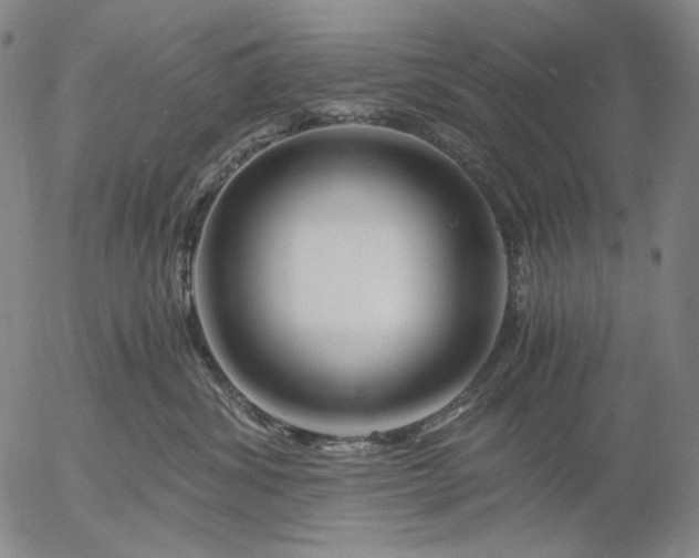 X0000056020428200509021801