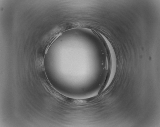 X0000056020429200509021801