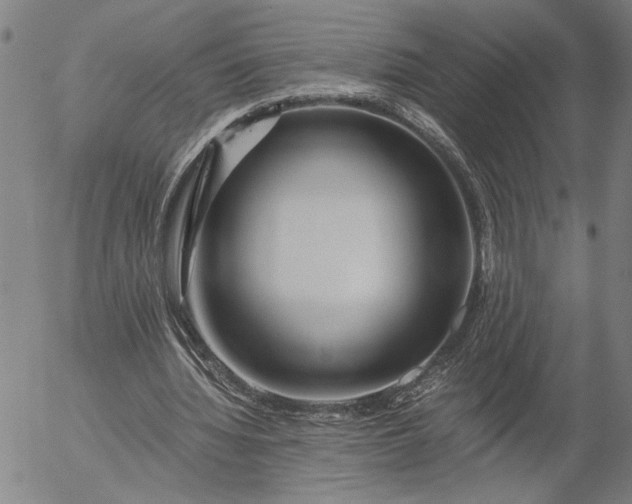 X0000056020436200509021759