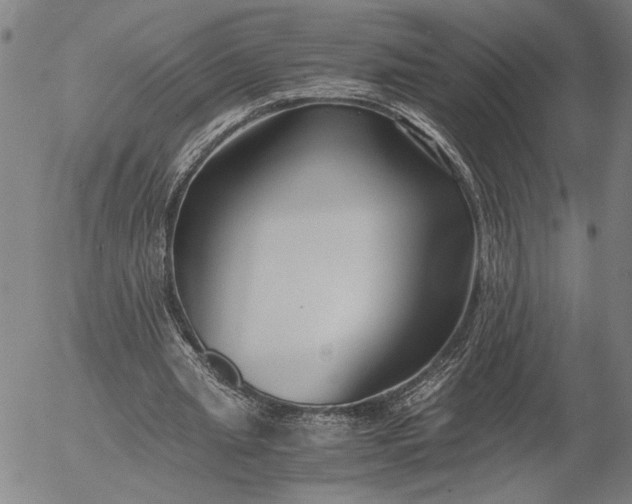 X0000056020437200509021759
