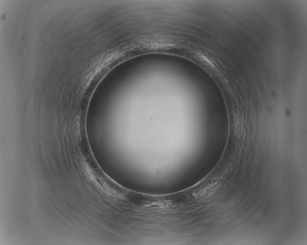 X0000056020447200509021800