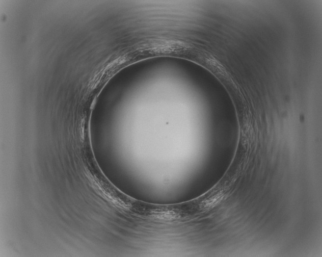 X0000056020454200509021800