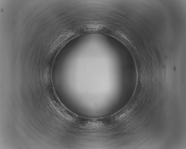 X0000056020455200509021800