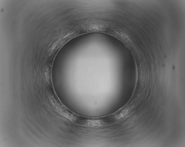 X0000056020457200509021800