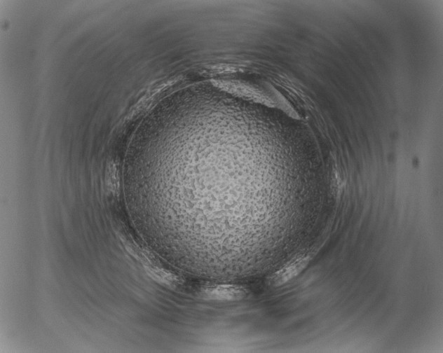 X0000056020467200509021800