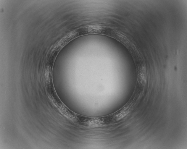 X0000056020468200509021800