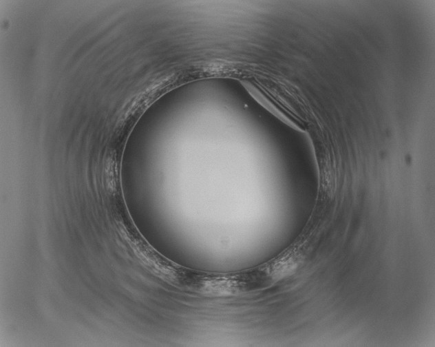 X0000056020470200509021800