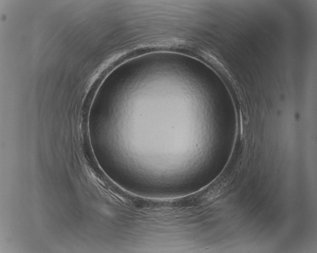 X0000056020483200509021759