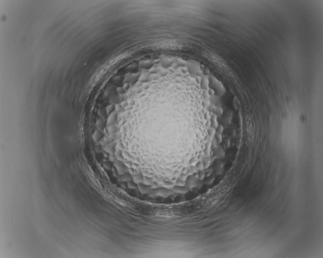 X0000056020487200509021759