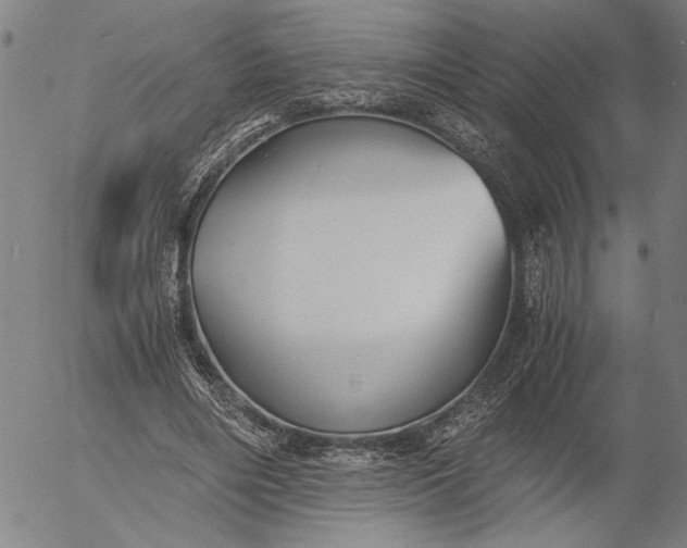 X0000056020490200509021759