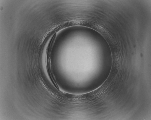 X0000056020496200509021759