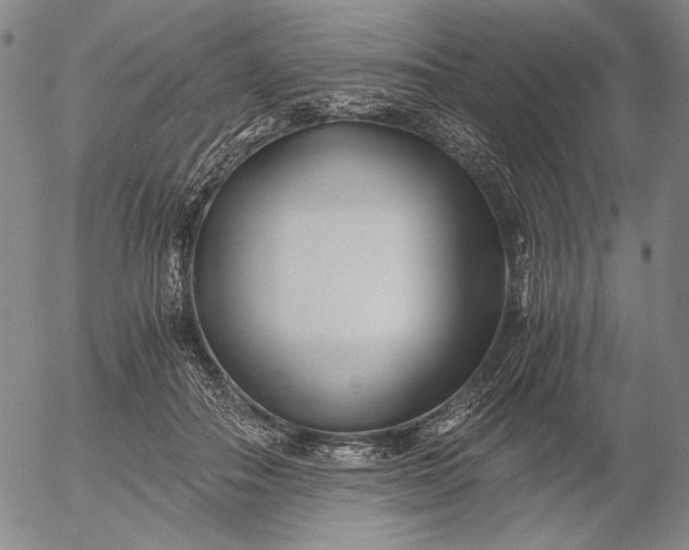 X0000056020506200509021759
