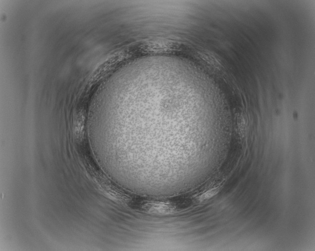 X0000056020507200509021759