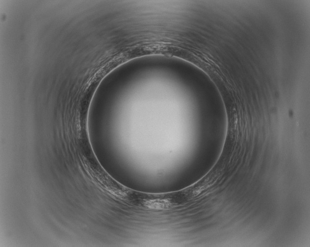 X0000056020508200509021759