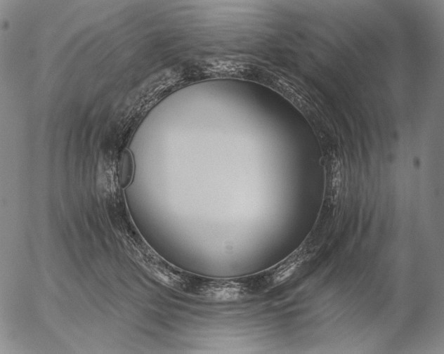 X0000056020514200509021759