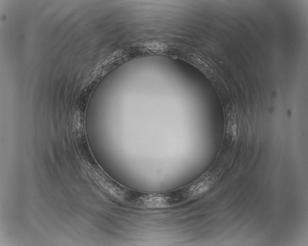 X0000056020518200509021759