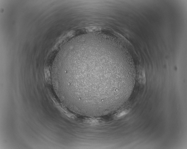 X0000056020523200509021759