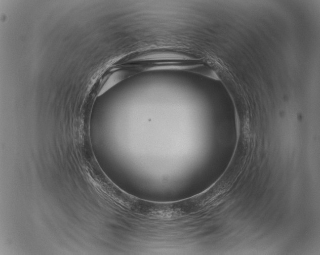 X0000056020540200509021758