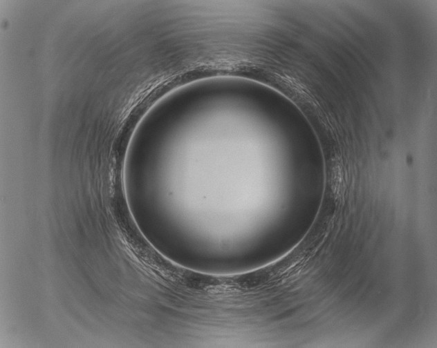 X0000056020544200509021758