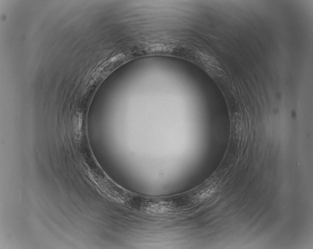 X0000056020550200509021758