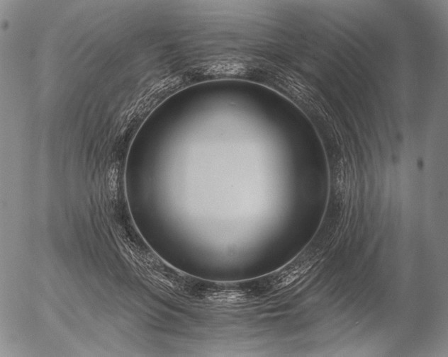 X0000056020551200509021758