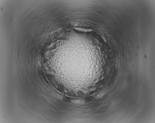 X0000056020561200509021758