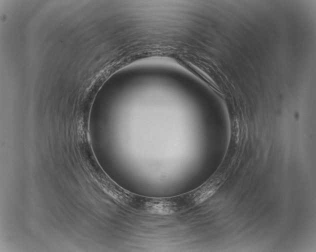 X0000056020564200509021758