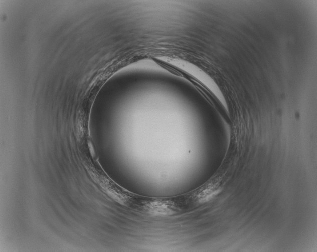 X0000056020566200509021758