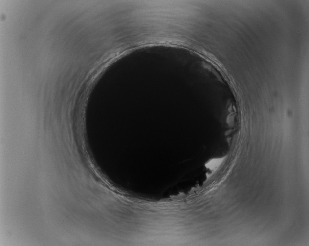 X0000056020577200509021758