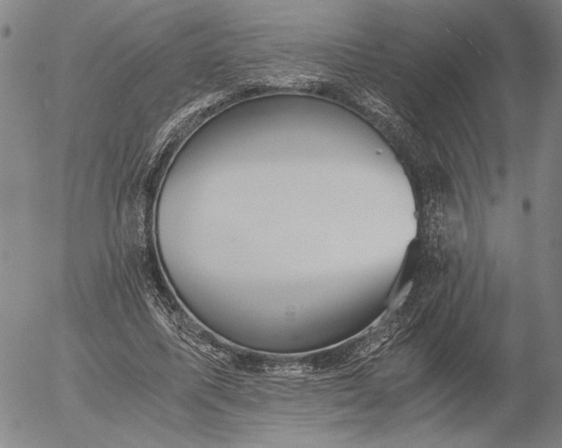 X0000056020587200509021758
