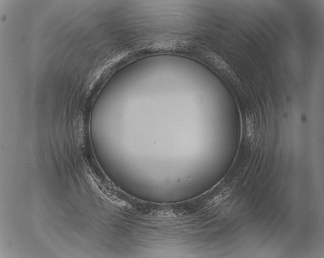 X0000056020588200509021758