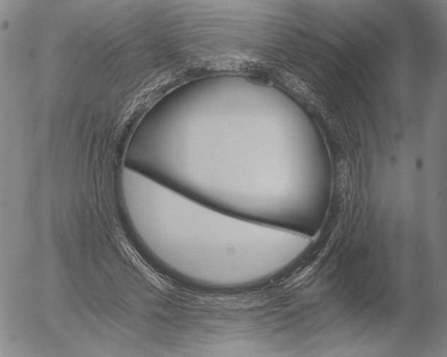X0000056020589200509021758